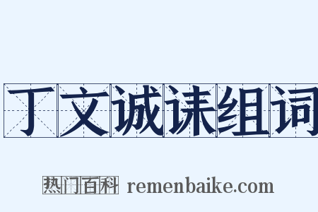 丁文诚诔组词是什么意思的图片